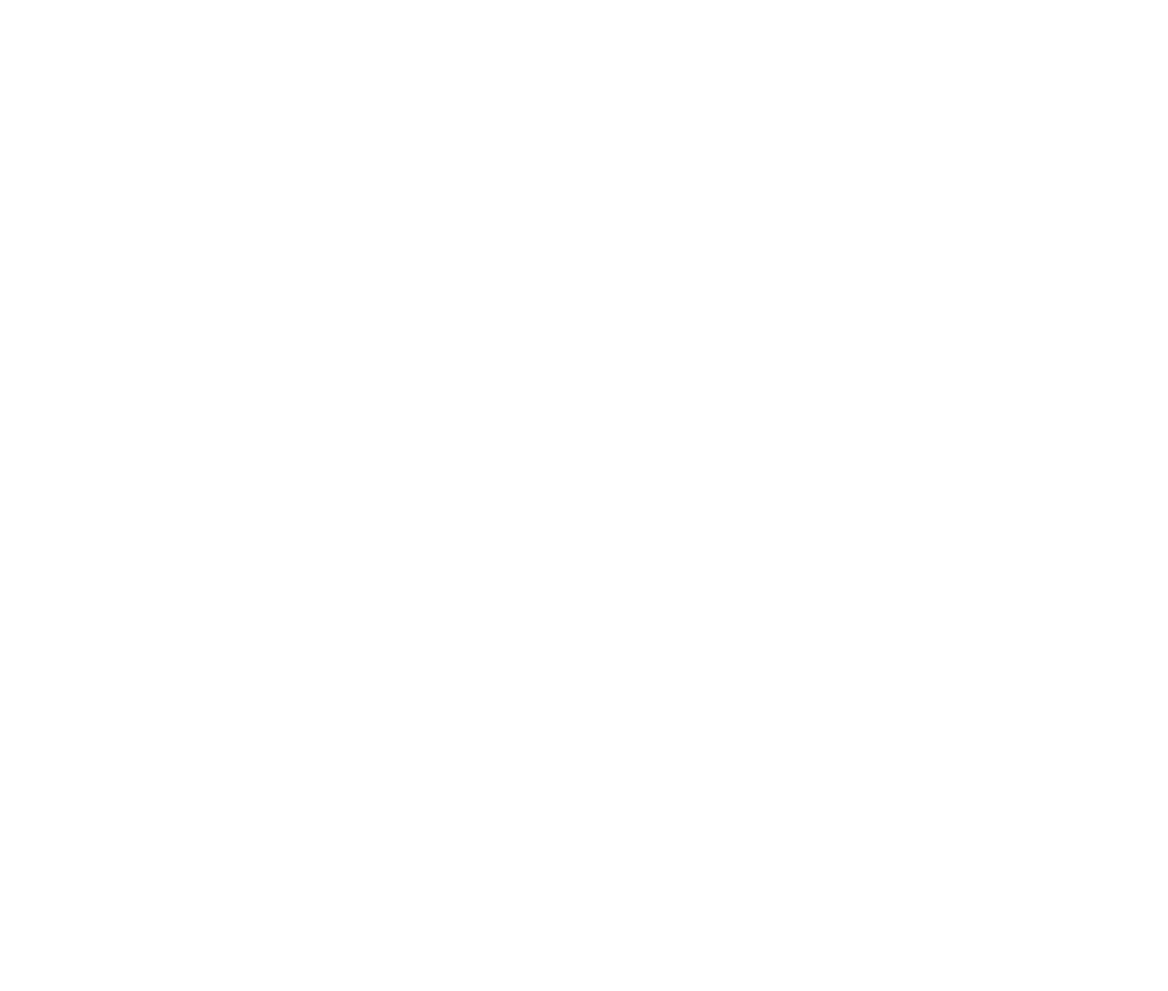 logo-white-nabota